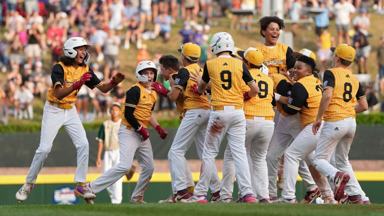 的技术要求 的技术要求